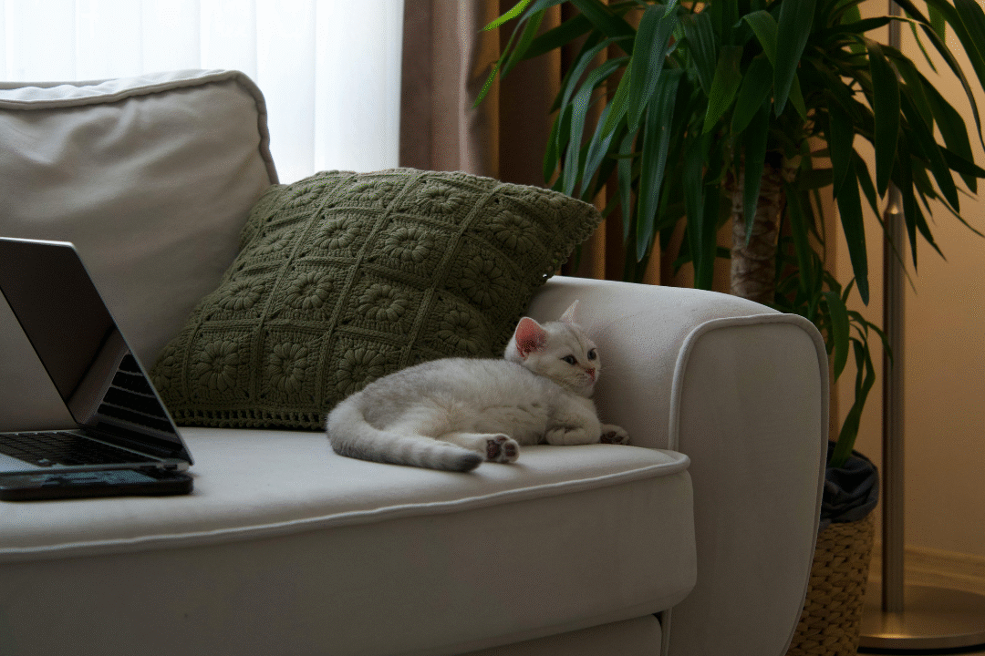 Cheap Rooms to Rent in South West London | Affordable & Verified