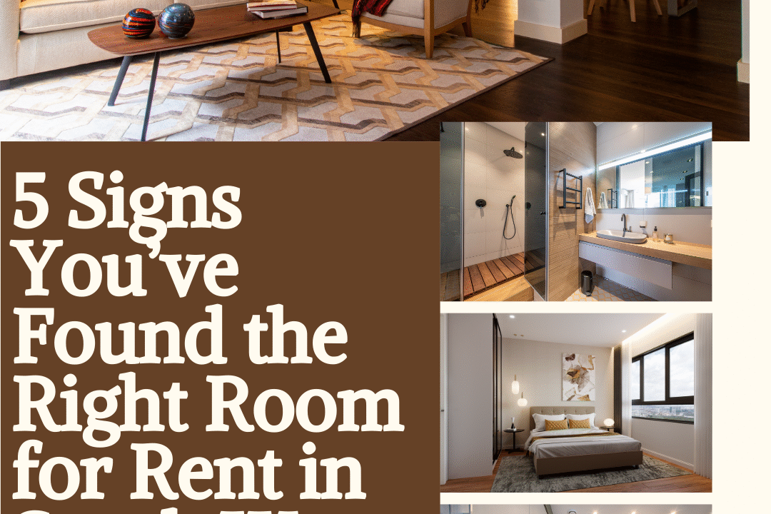 Room for Rent in South West London